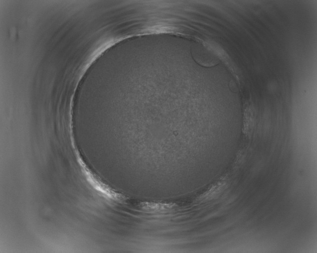 X0000078021039200611031451