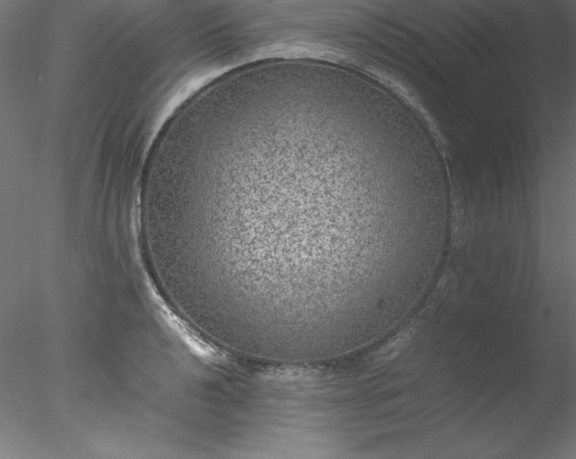 X0000078021040200611031451