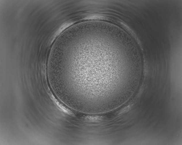 X0000078021041200611031451