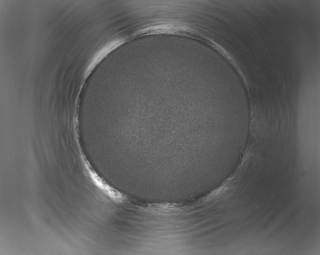 X0000078021042200611031451