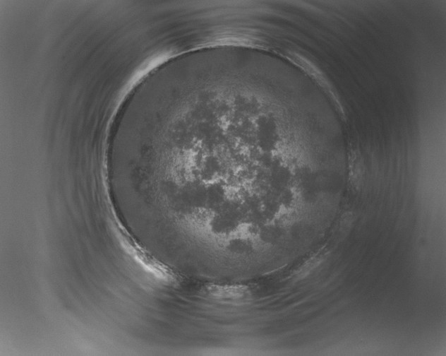 X0000078021043200611031451