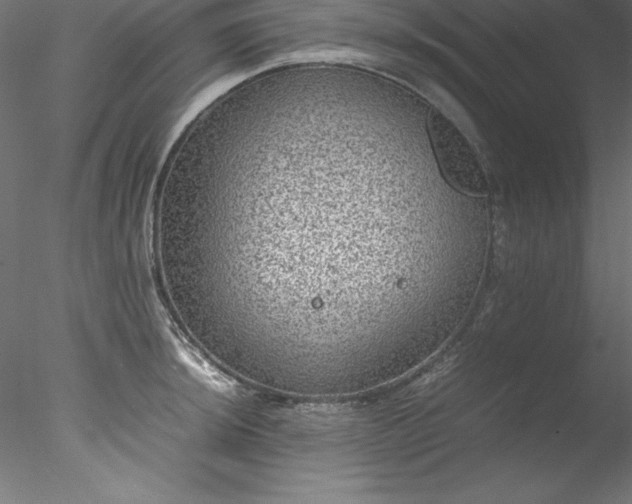 X0000078021044200611031451