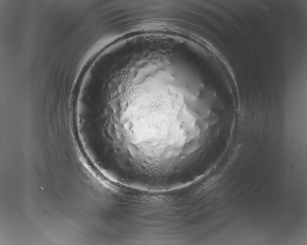 X0000078021045200611031451