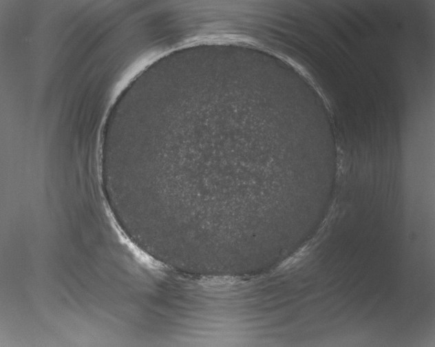 X0000078021046200611031451