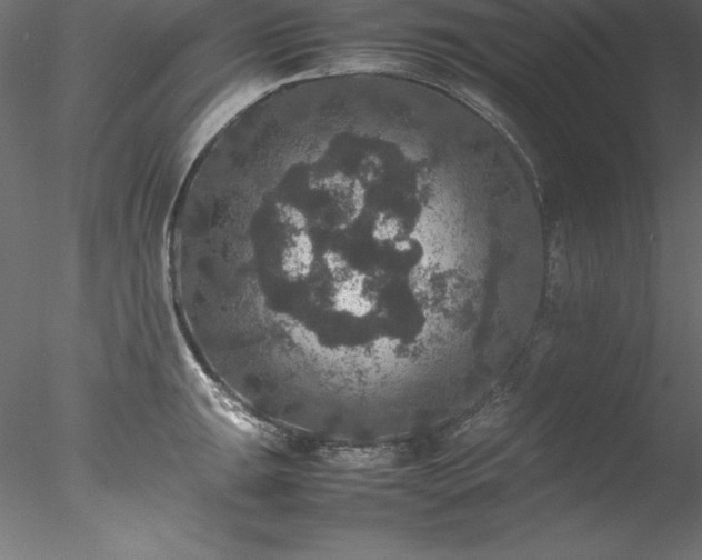 X0000078021047200611031451