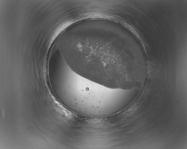 X0000078021048200611031451