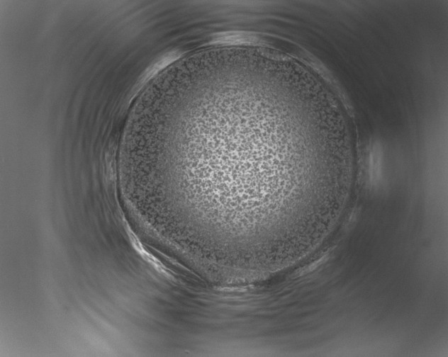 X0000078021049200611031451