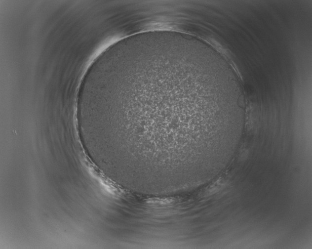 X0000078021051200611031451