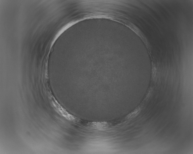 X0000078021052200611031451