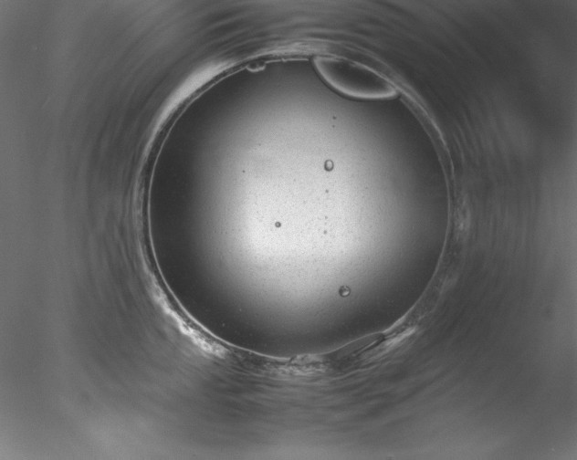 X0000078021053200611031451