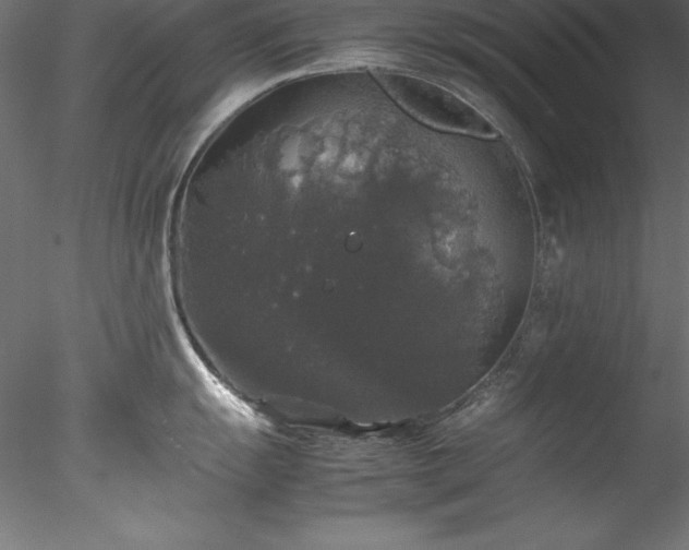 X0000078021055200611031451