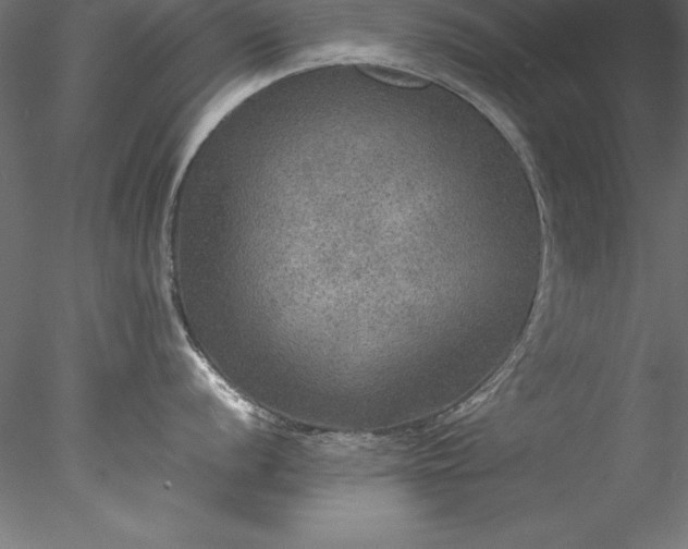 X0000078021056200611031451