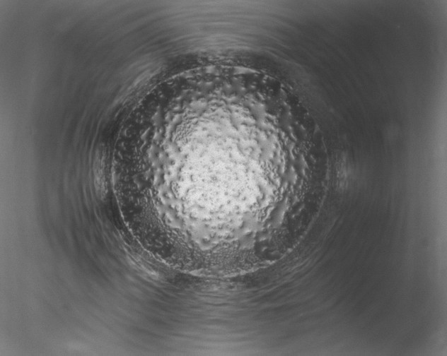 X0000078021060200611031450