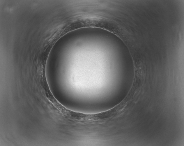 X0000078021061200611031450