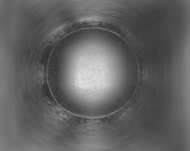 X0000078021062200611031450