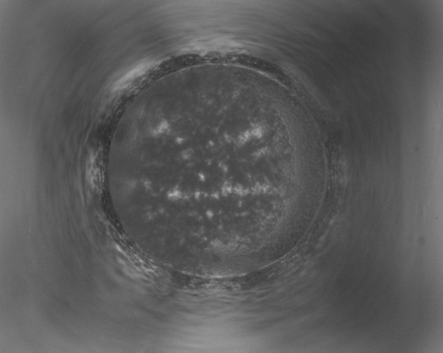 X0000078021063200611031450