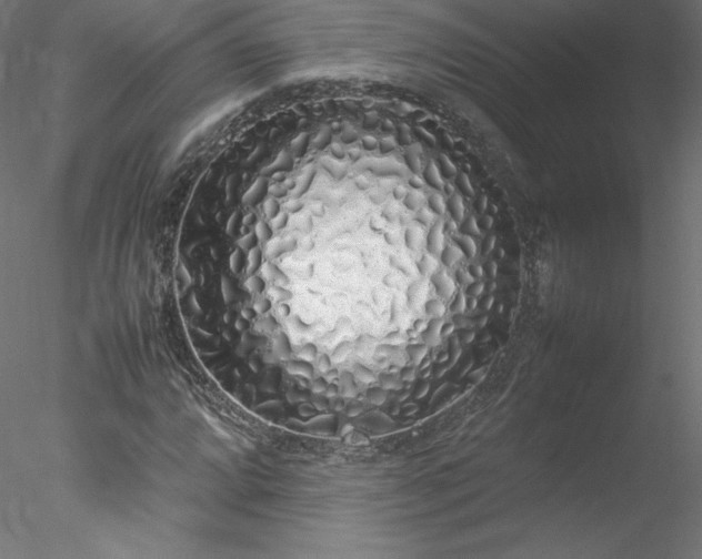 X0000078021064200611031450