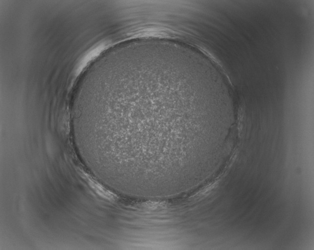 X0000078021067200611031450