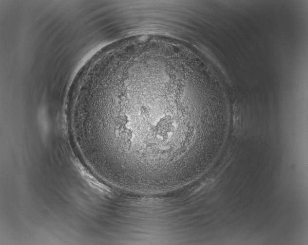 X0000078021068200611031450