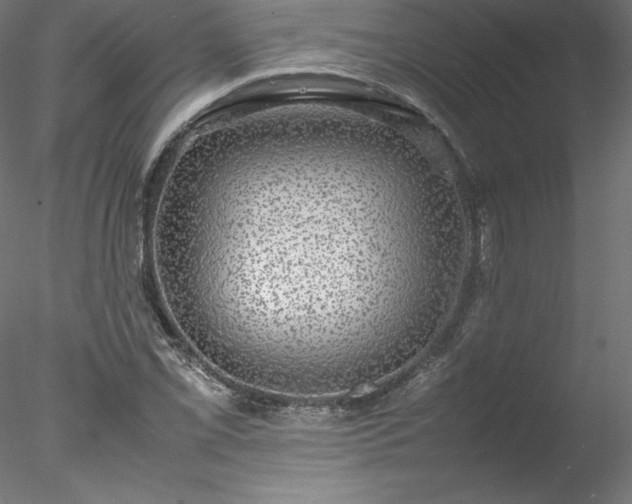 X0000078021069200611031450