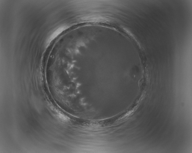 X0000078021071200611031450