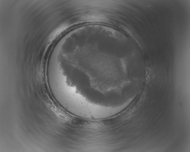 X0000078021074200611031450