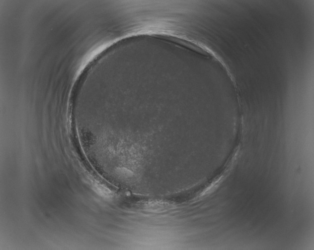 X0000078021077200611031450