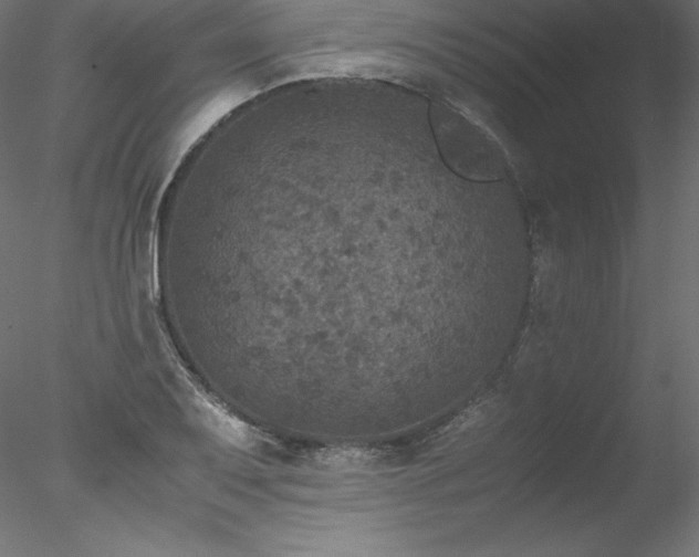 X0000078021079200611031450