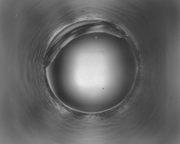 X0000078021081200611031450