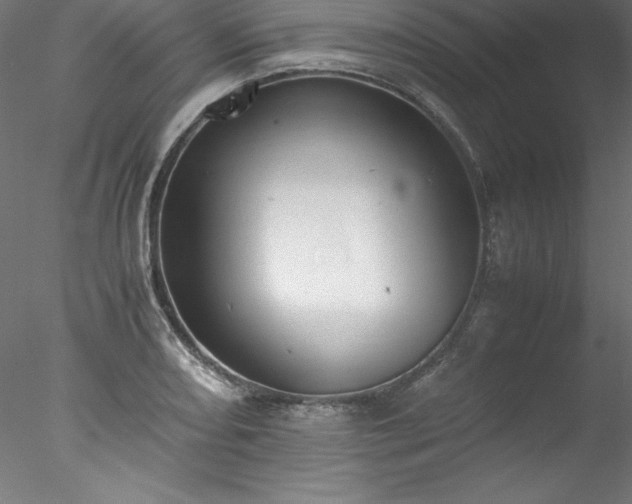 X0000078021082200611031450