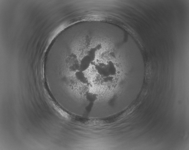 X0000078021083200611031450