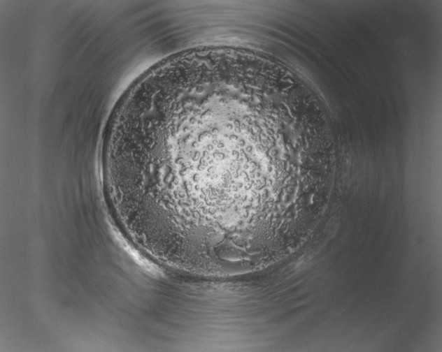 X0000078021084200611031450