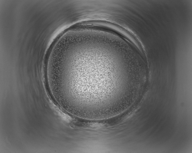 X0000078021085200611031450