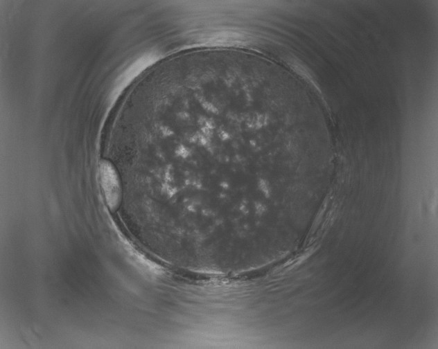 X0000078021087200611031450