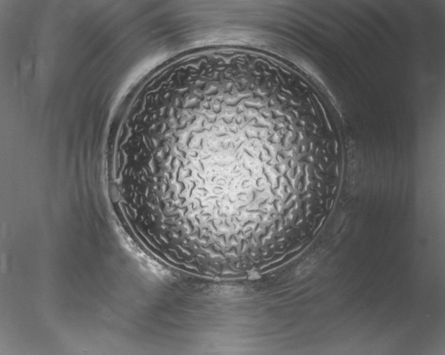 X0000078021088200611031450