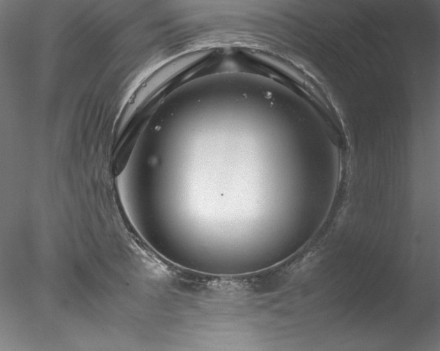 X0000078021089200611031450