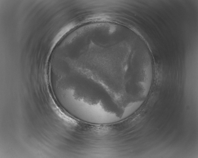 X0000078021090200611031450