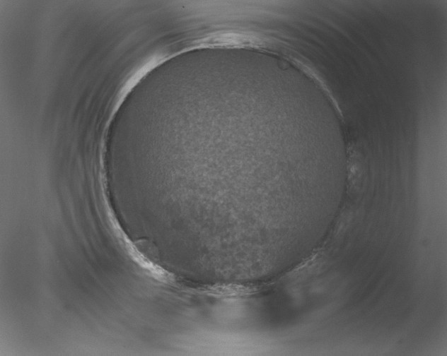 X0000078021091200611031450