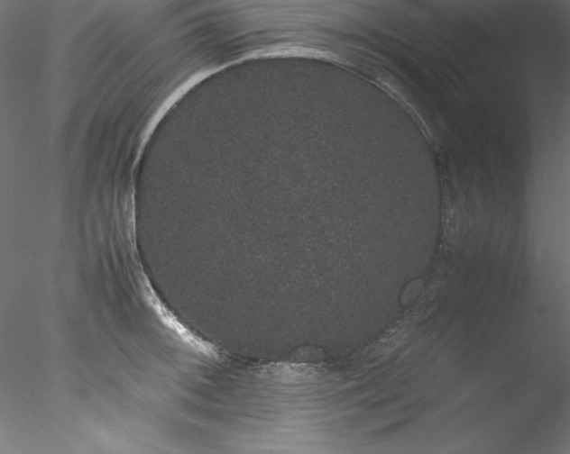 X0000078021092200611031450