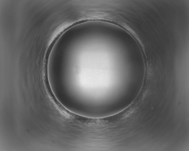 X0000078021093200611031450