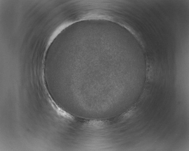 X0000078021094200611031450