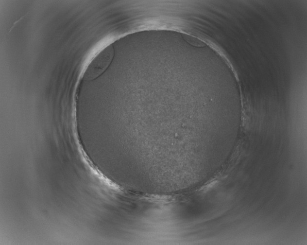 X0000078021096200611031450