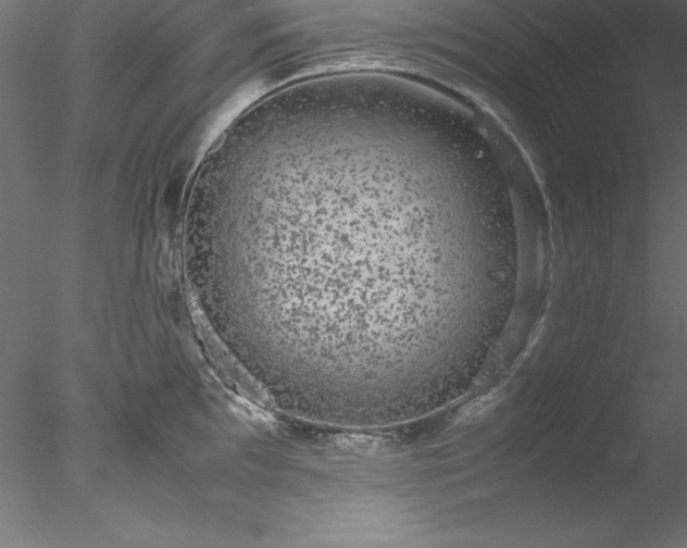 X0000078021097200611031450