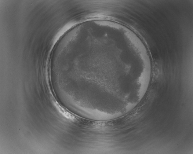 X0000078021098200611031449