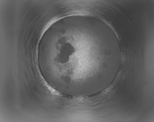 X0000078021099200611031449