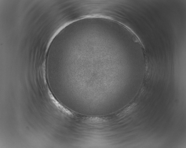 X0000078021100200611031449