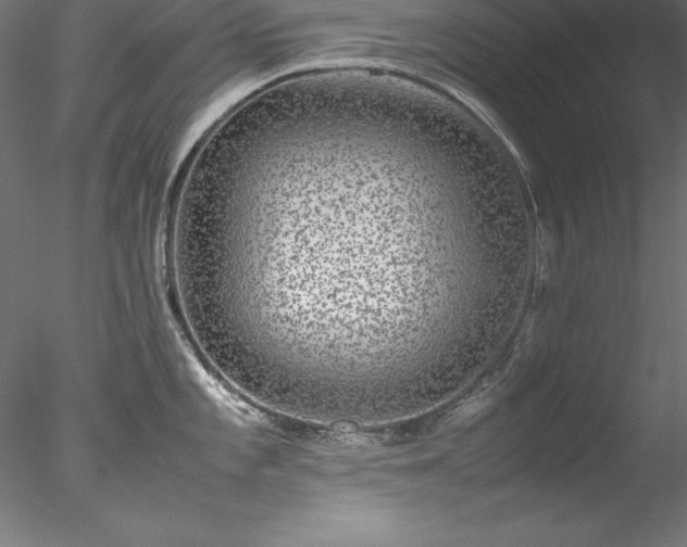 X0000078021101200611031449