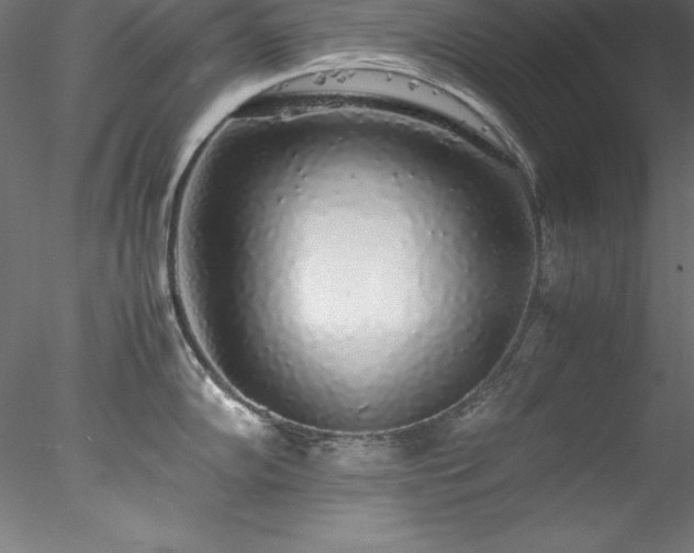 X0000078021102200611031449