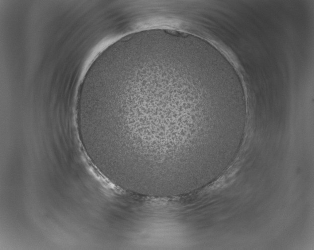 X0000078021104200611031449