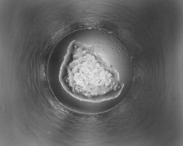 X0000078021106200611031449